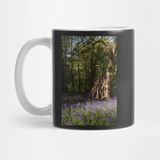 Hidden bluebell wood Mug